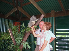 123 Port Douglas Wildlife Habitat